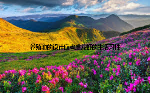 养殖池的设计应考虑龙虾的生活习性