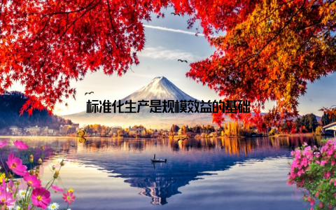 标准化生产是规模效益的基础