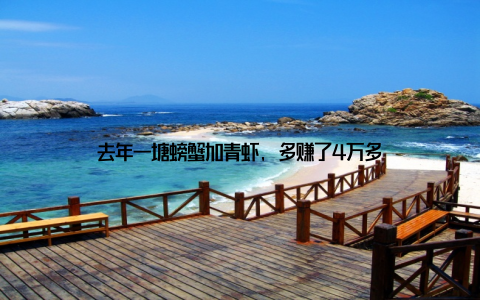 去年一塘螃蟹加青虾, 多赚了4万多