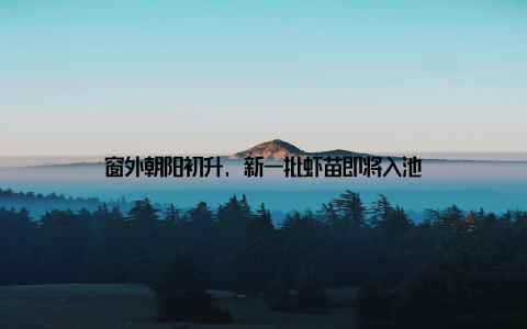 窗外朝阳初升, 新一批虾苗即将入池
