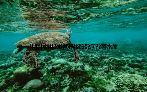 生物操纵技术营养级联效应改善水质