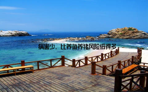 – 病害少, 比养鱼养猪风险低得多