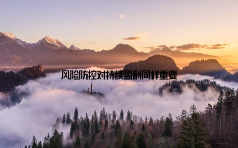 风险防控对持续盈利同样重要