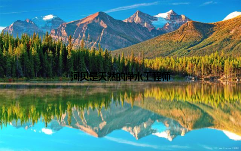 河贝是天然的净水工程师