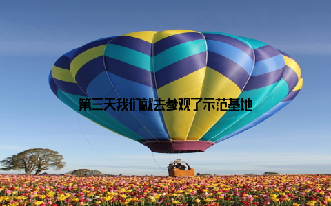 第三天我们就去参观了示范基地
