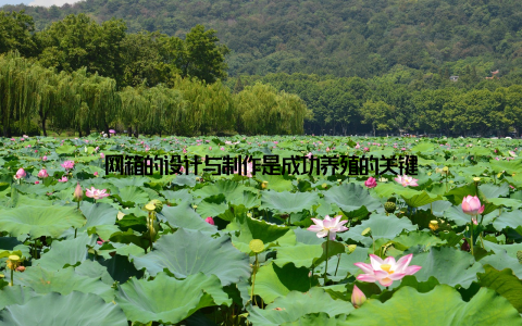 网箱的设计与制作是成功养殖的关键