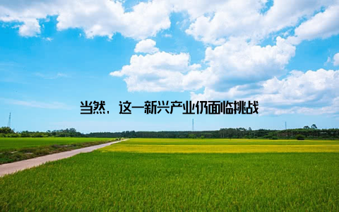 当然, 这一新兴产业仍面临挑战