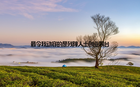 最令我动容的是残障人士创业展台
