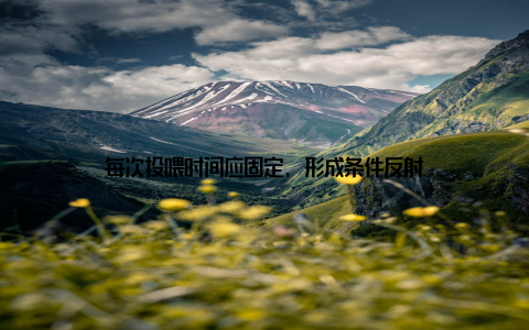 每次投喂时间应固定, 形成条件反射