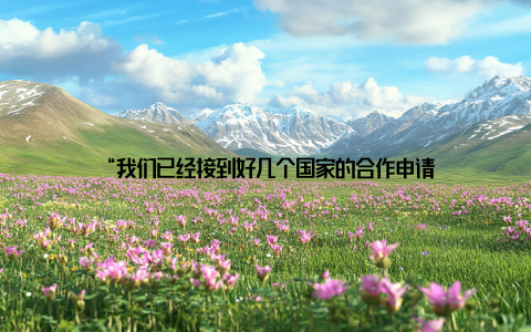 “我们已经接到好几个国家的合作申请