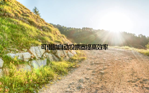 可借助自动投喂器提高效率