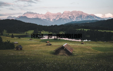 说实话, 那一晚我辗转难眠