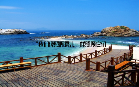 “我们像照顾婴儿一样照顾它们