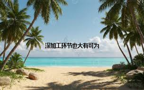 深加工环节也大有可为