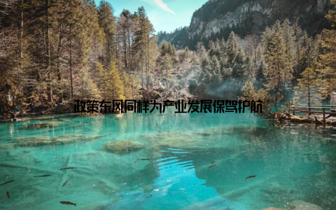 政策东风同样为产业发展保驾护航