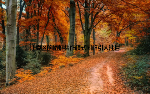 江夏区的稻虾共作模式同样引人注目