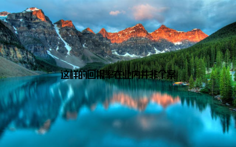 这样的回报率在业内并非个案