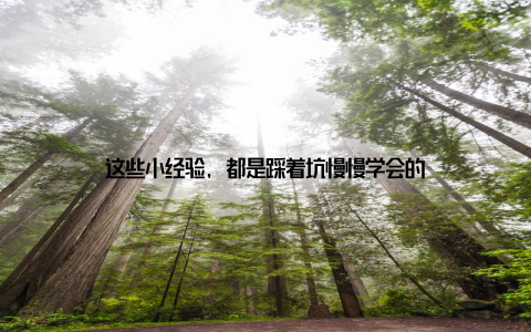 这些小经验, 都是踩着坑慢慢学会的