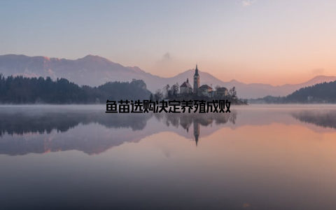 鱼苗选购决定养殖成败