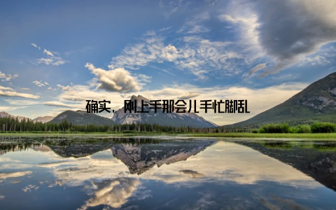 确实, 刚上手那会儿手忙脚乱