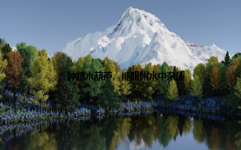 – 种植水葫芦, 能吸附水中杂质
