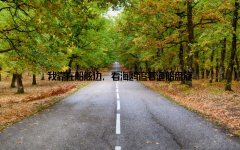 我靠在船舷边, 看海鸥追着渔船盘旋
