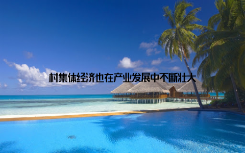村集体经济也在产业发展中不断壮大