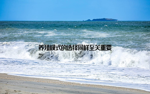 养殖模式的选择同样至关重要