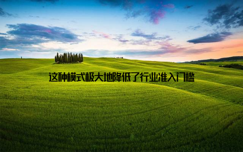 这种模式极大地降低了行业准入门槛