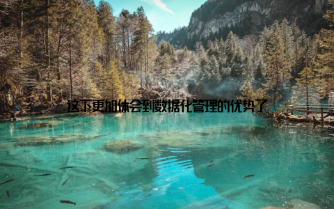 这下更加体会到数据化管理的优势了