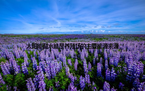 太阳能和水能是养殖场的主要能源来源