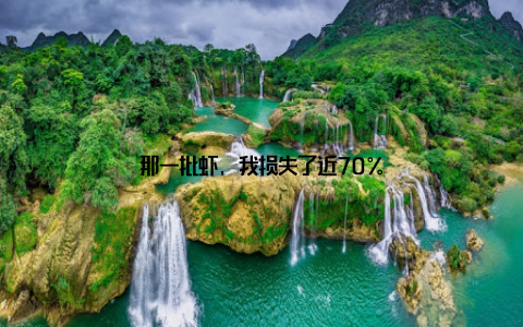 那一批虾, 我损失了近70%
