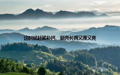 这时候赶紧补钙, 新壳长得又厚又亮