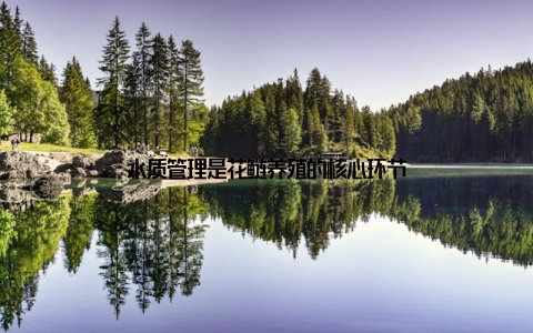 水质管理是花鲢养殖的核心环节