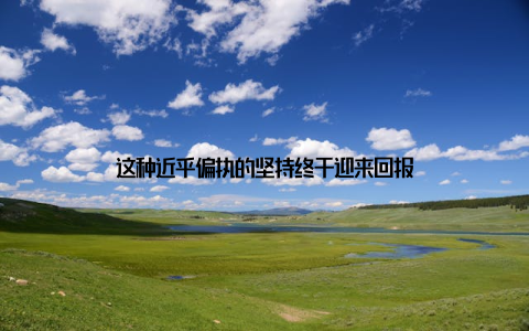 这种近乎偏执的坚持终于迎来回报