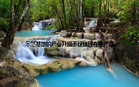 示范基地的产业升级不仅体现在生产端