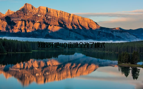 我咬牙把40亩塘全改了模式