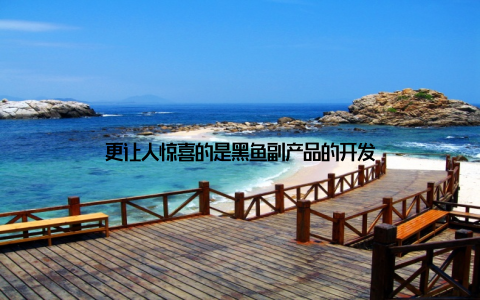 更让人惊喜的是黑鱼副产品的开发