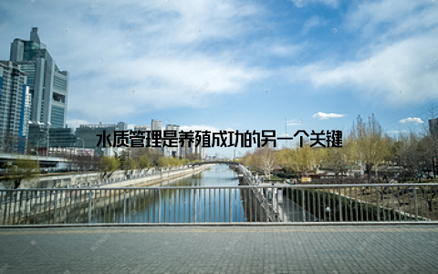 水质管理是养殖成功的另一个关键