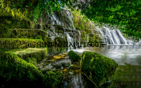 合计首年总投入约11600元