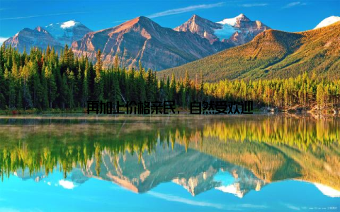 再加上价格亲民, 自然受欢迎