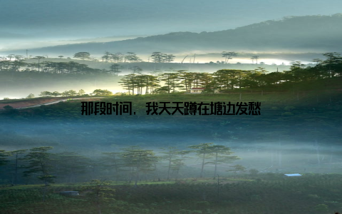 那段时间, 我天天蹲在塘边发愁