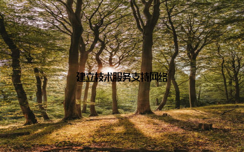 建立技术服务支持网络