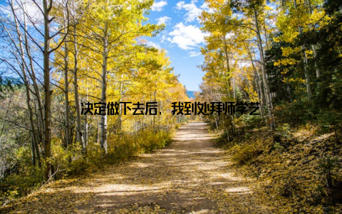 决定做下去后, 我到处拜师学艺