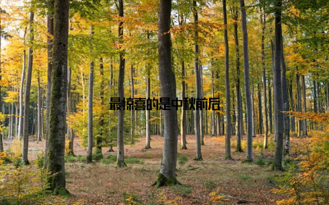 最惊喜的是中秋前后