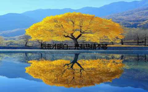 后来才明白, 光有热情不够